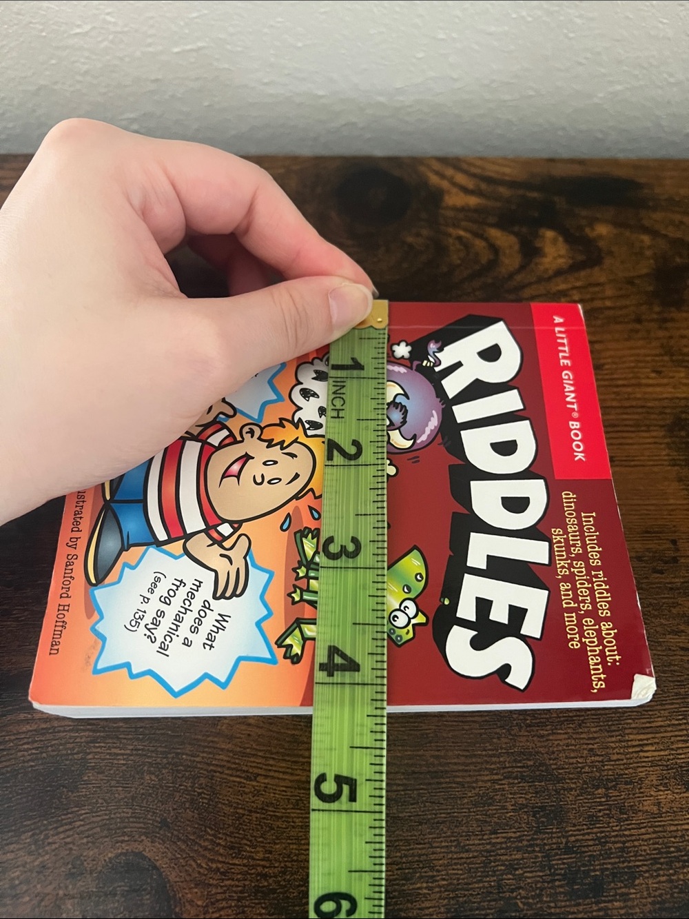 Little Giant Riddles Book Gift Kids - Picture 12 of 13